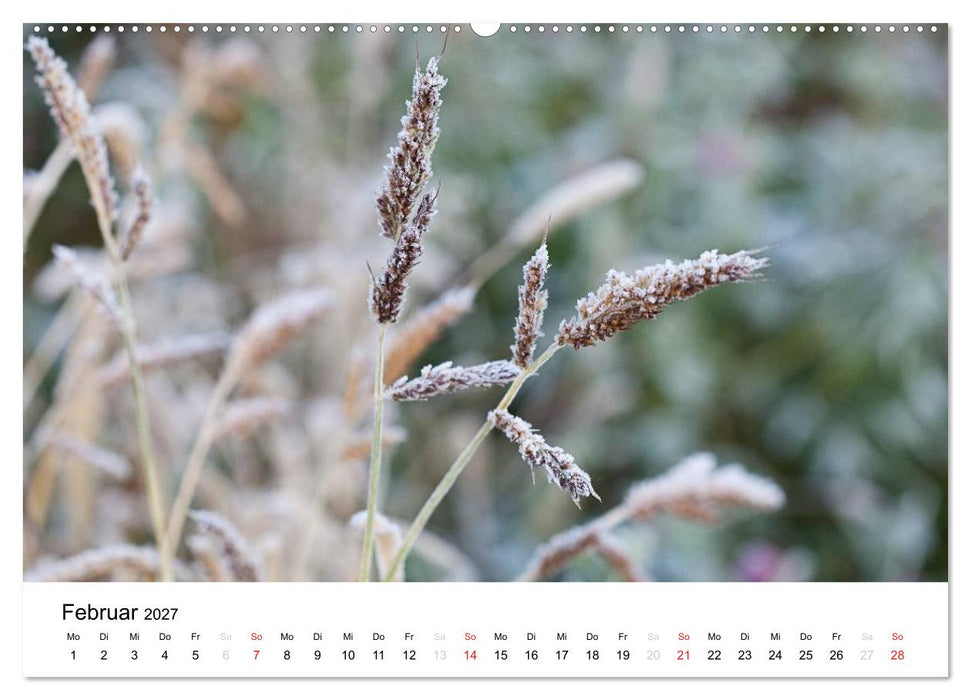 Mein Jahr im Landhausgarten (CALVENDO Wandkalender 2027)