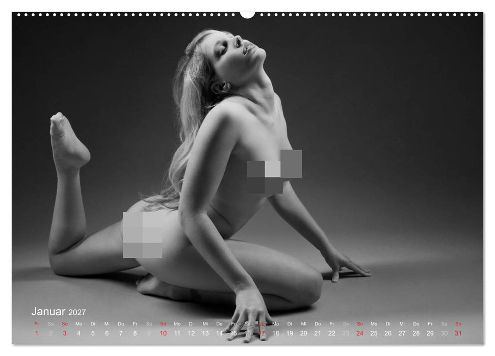 Erotischer Fingerabdruck - Besondere Hautmerkmale (CALVENDO Premium Wandkalender 2027)