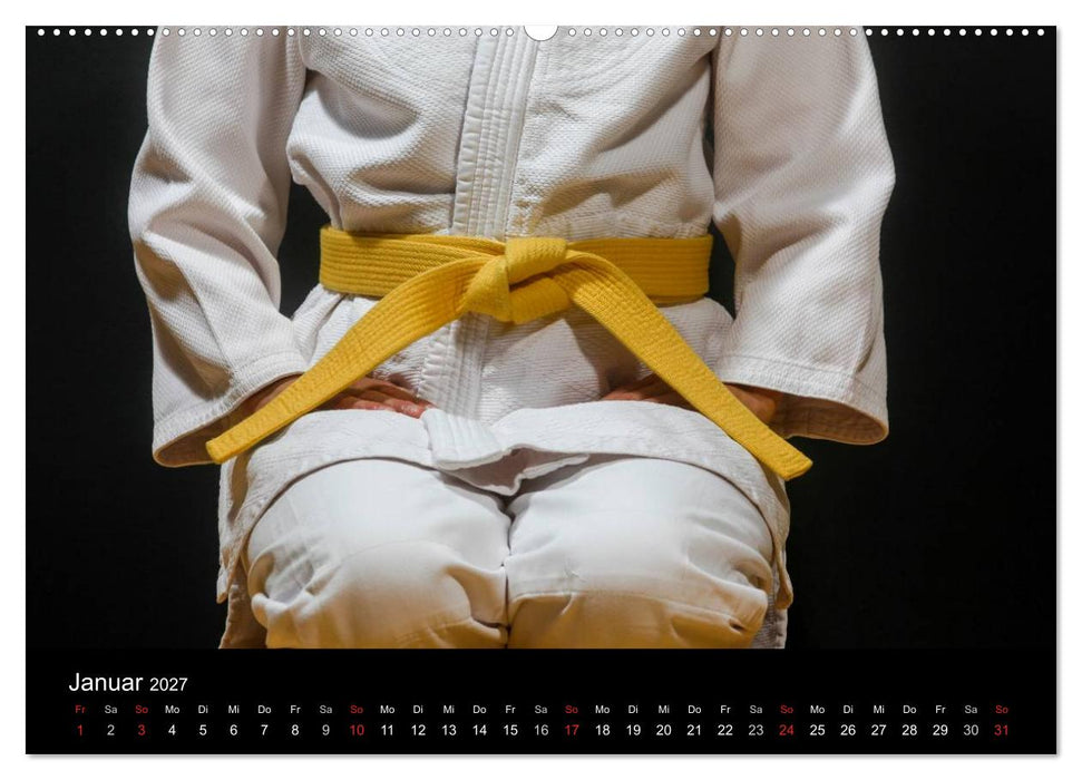 Kampfsport (CALVENDO Wandkalender 2027)