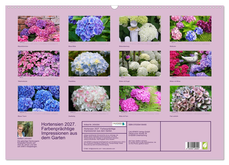 Hortensien 2027. Farbenprächtige Impressionen aus dem Garten (CALVENDO Wandkalender 2027)