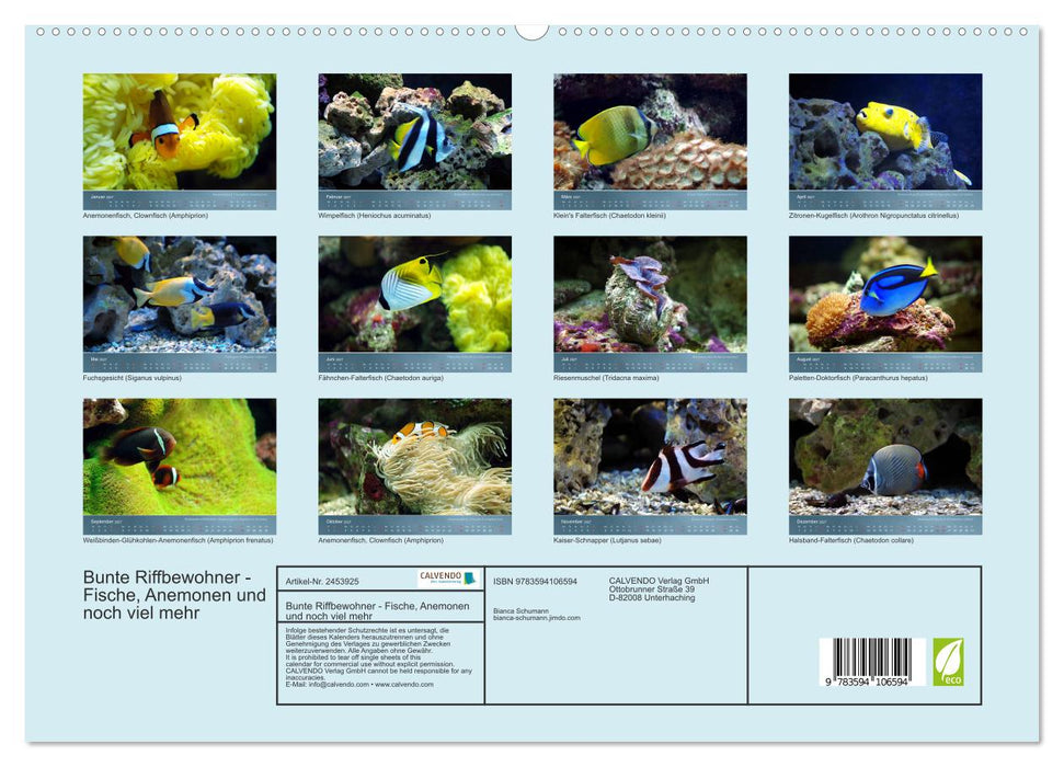 Bunte Riffbewohner - Fische, Anemonen und noch viel mehr (CALVENDO Premium Wandkalender 2027)