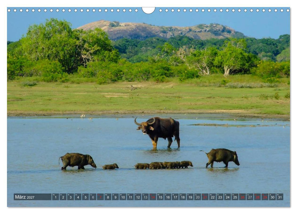 Sri Lanka - Eine Bilder-Reise (CALVENDO Wandkalender 2027)