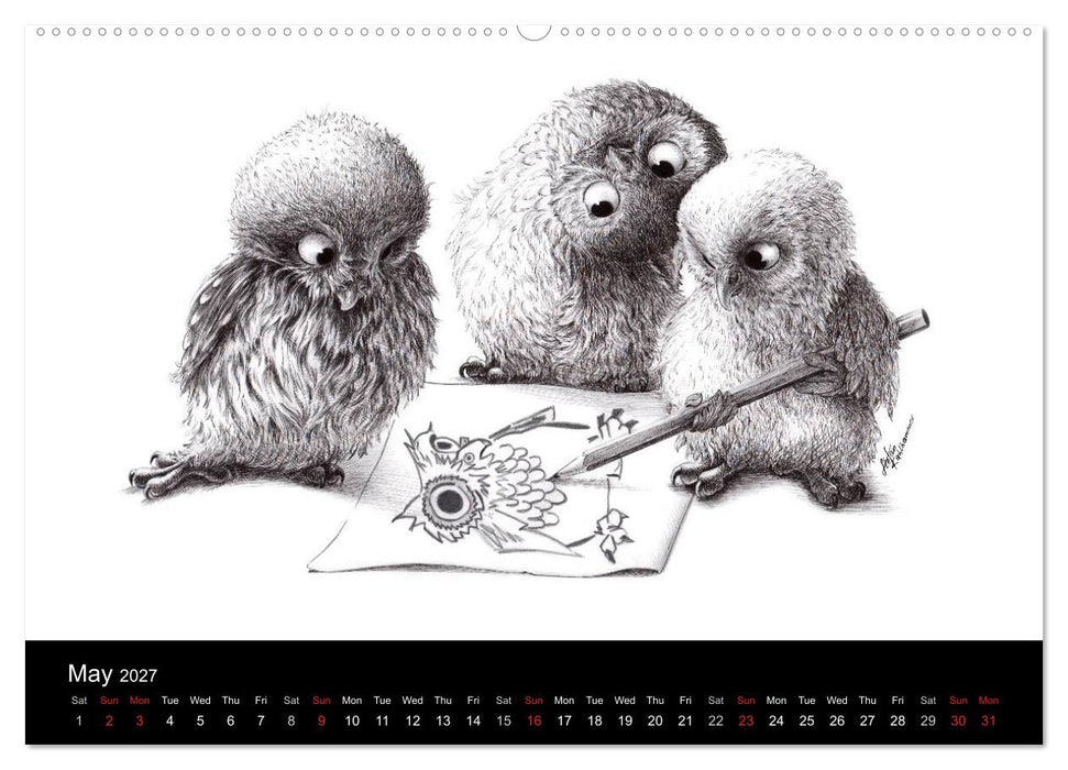 owls & friends 2027 (CALVENDO Premium-Calendar 2027)