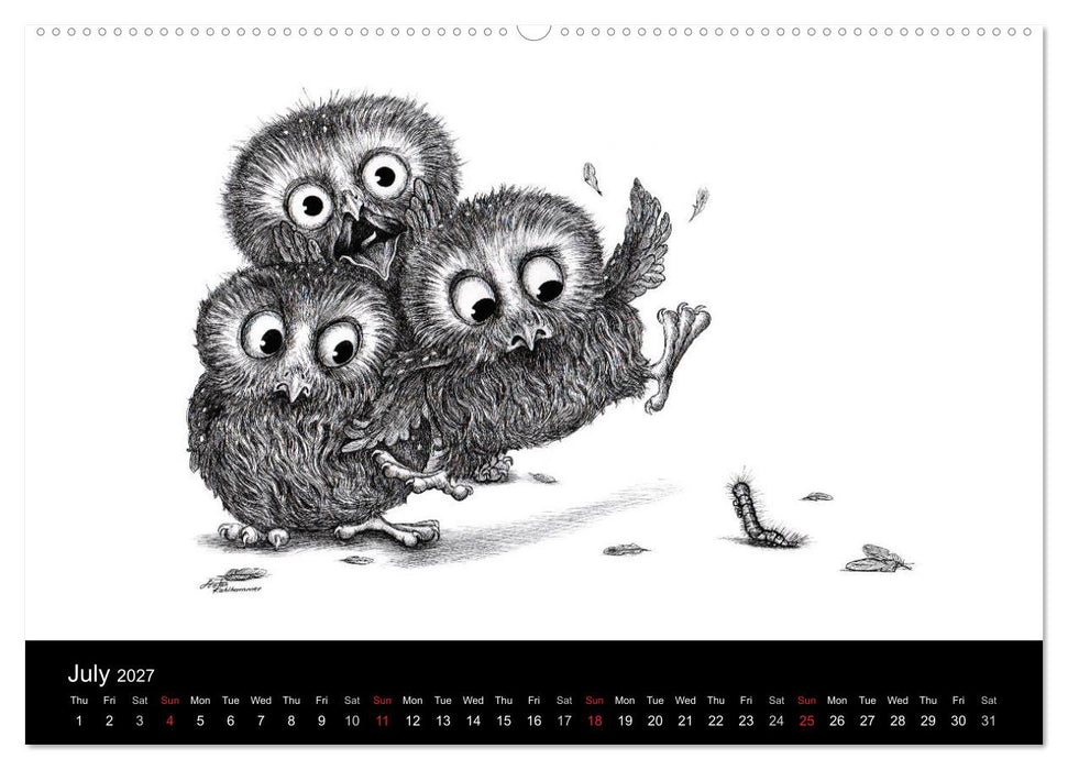 owls & friends 2027 (CALVENDO Premium-Calendar 2027)