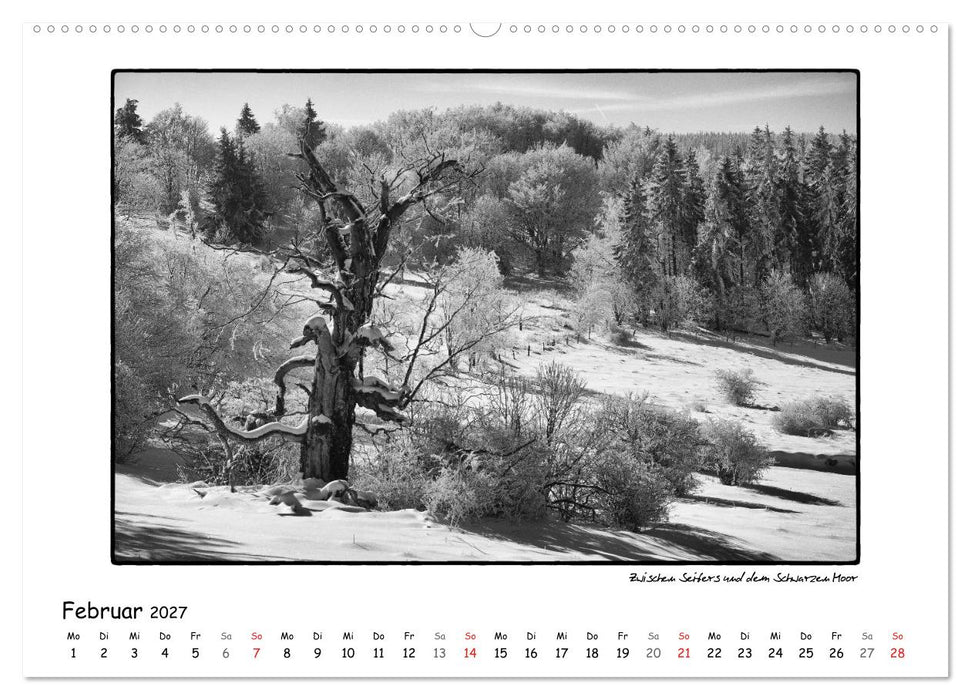 RHÖN SCHWARZ-WEISS (CALVENDO Premium Wandkalender 2027)