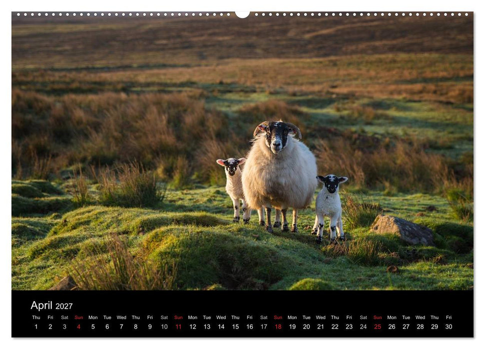 Scotland Alba (CALVENDO Premium-Calendar 2027)
