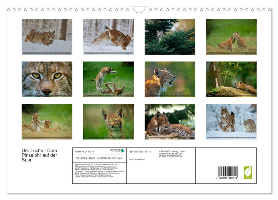 Der Luchs - Dem Pinselohr auf der Spur (CALVENDO Wandkalender 2027)