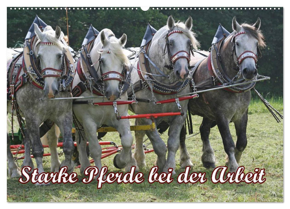 Starke Pferde bei der Arbeit (CALVENDO Wandkalender 2027)