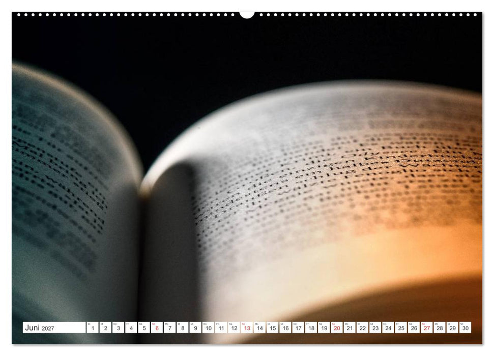 Ars Libri - Kunstwerk Buch (CALVENDO Wandkalender 2027)