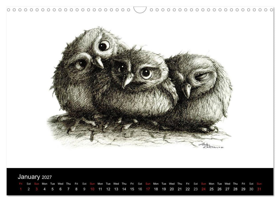 owls & friends 2027 (CALVENDO Monthly Calendar 2027)