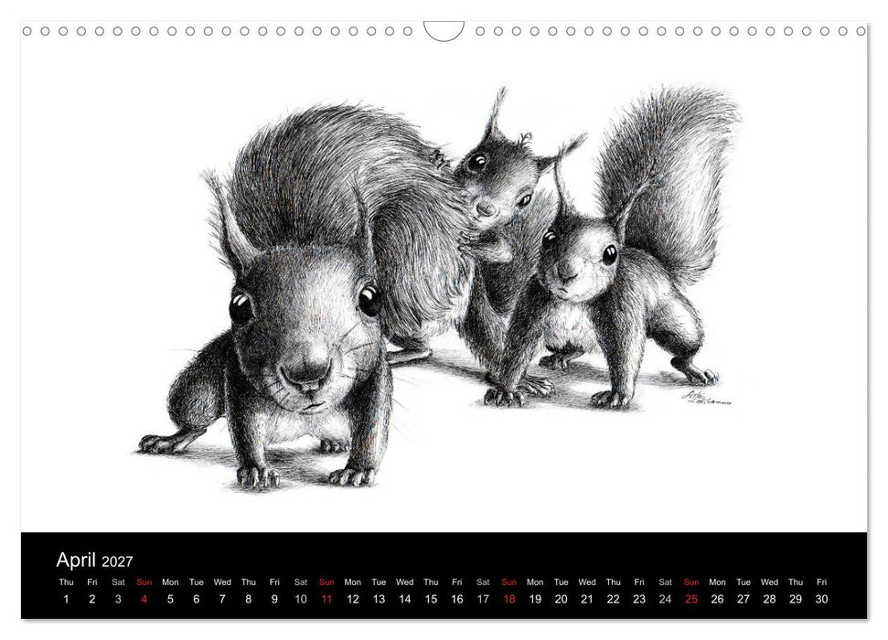 owls & friends 2027 (CALVENDO Monthly Calendar 2027)