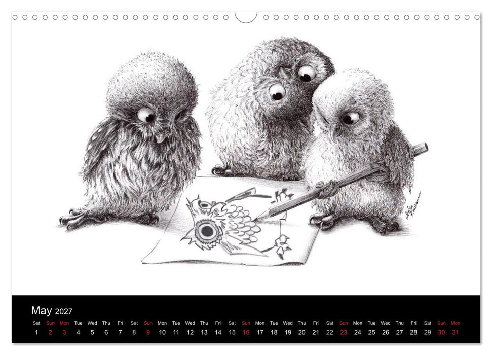 owls & friends 2027 (CALVENDO Monthly Calendar 2027)