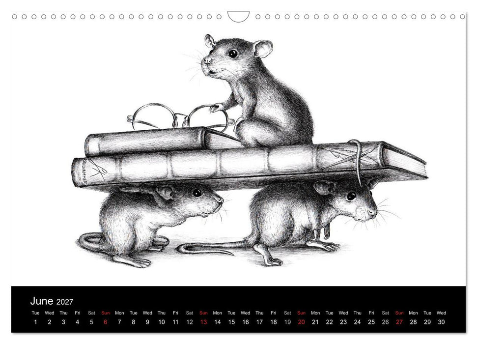 owls & friends 2027 (CALVENDO Monthly Calendar 2027)