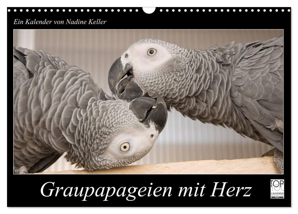 Graupapageien mit Herz (CALVENDO Wandkalender 2027)