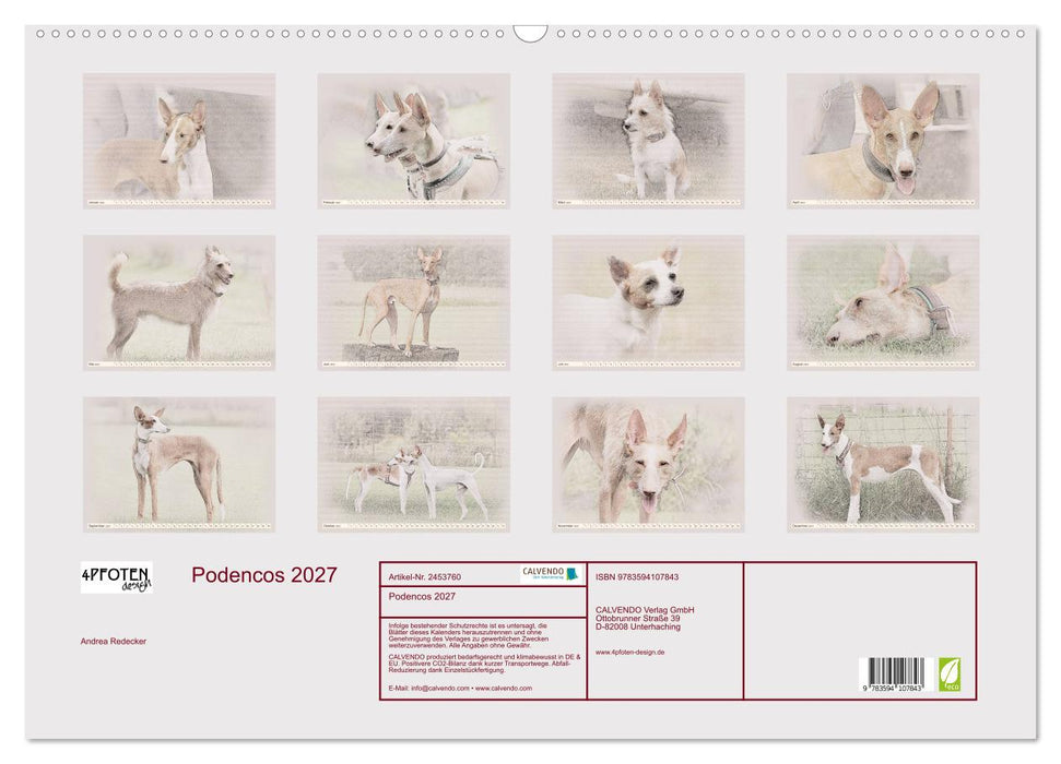 Podencos 2027 (CALVENDO Wandkalender 2027)