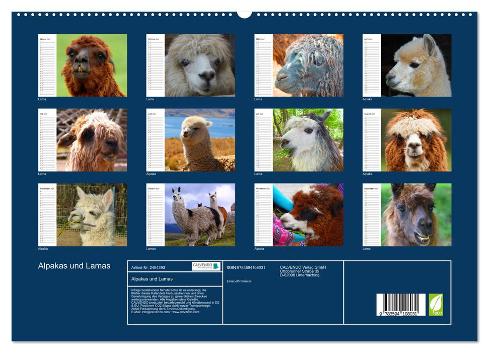 Alpakas und Lamas (CALVENDO Premium Wandkalender 2027)