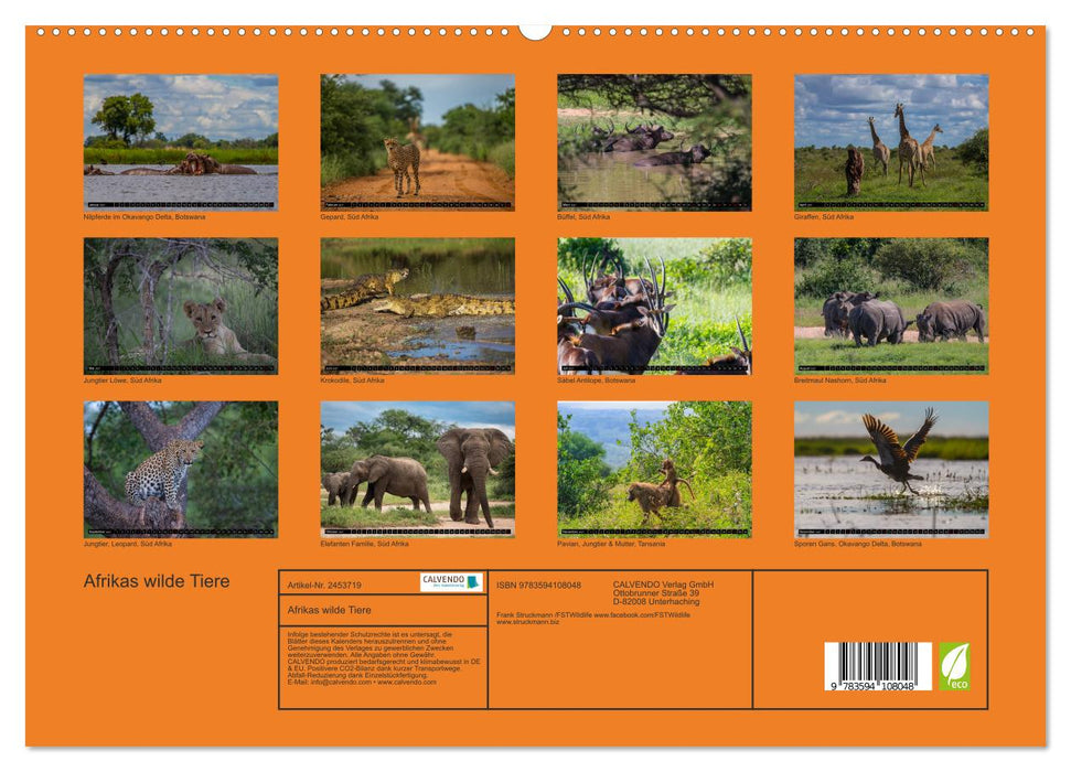 Afrikas wilde Tiere (CALVENDO Premium Wandkalender 2027)