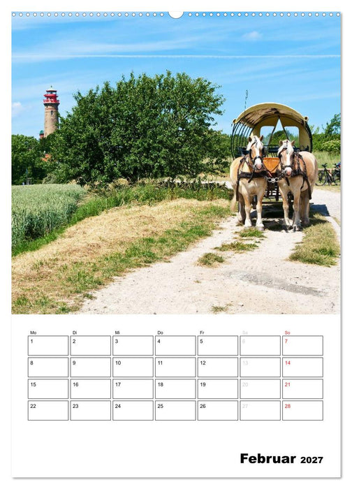 Rügen und Hiddensee - Bilder eines Sommers / Planer (CALVENDO Wandkalender 2027)