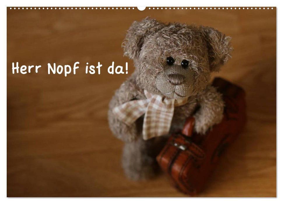 Herr Nopf ist da! (CALVENDO Wandkalender 2027)