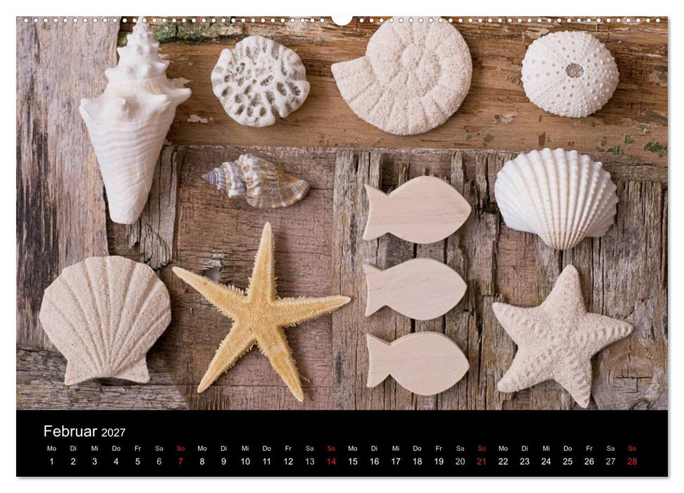 Strandgut und Meer 2027 (CALVENDO Wandkalender 2027)