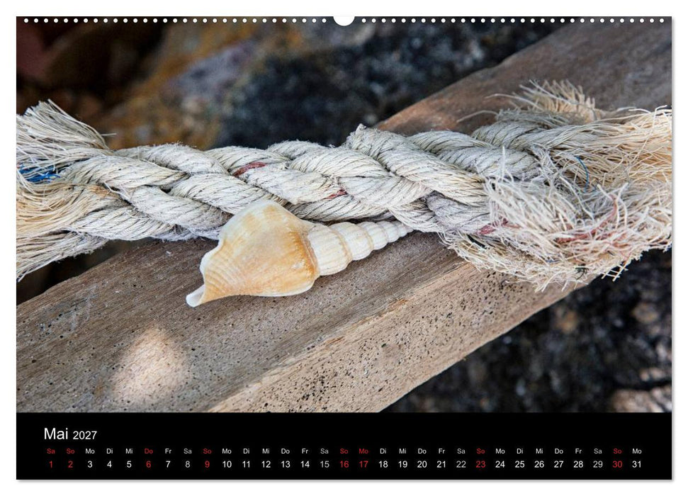 Strandgut und Meer 2027 (CALVENDO Wandkalender 2027)