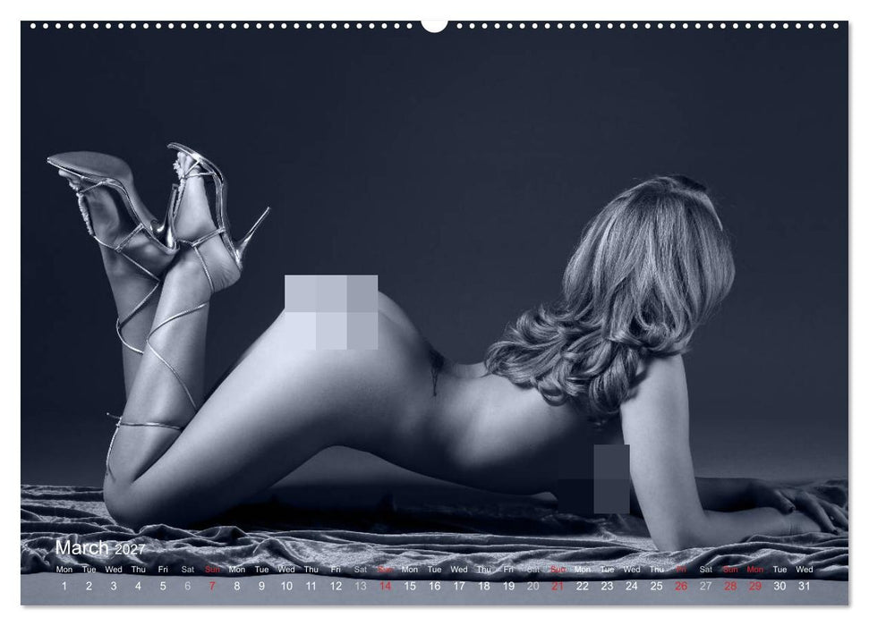 L´heure bleue - The Blue Hour (CALVENDO Premium-Calendar 2027)