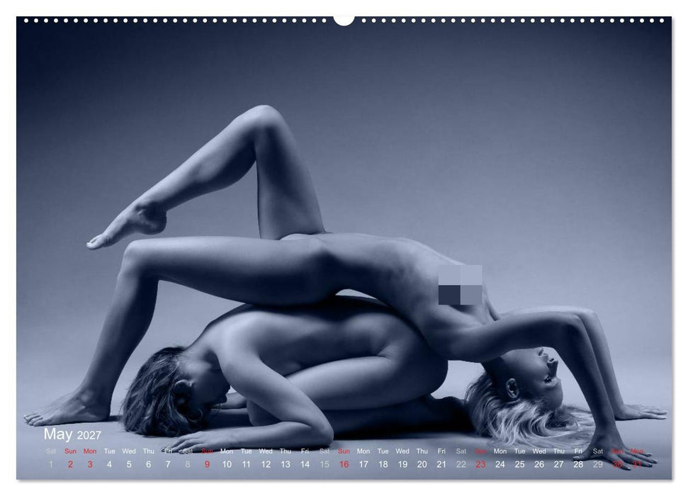 L´heure bleue - The Blue Hour (CALVENDO Premium-Calendar 2027)