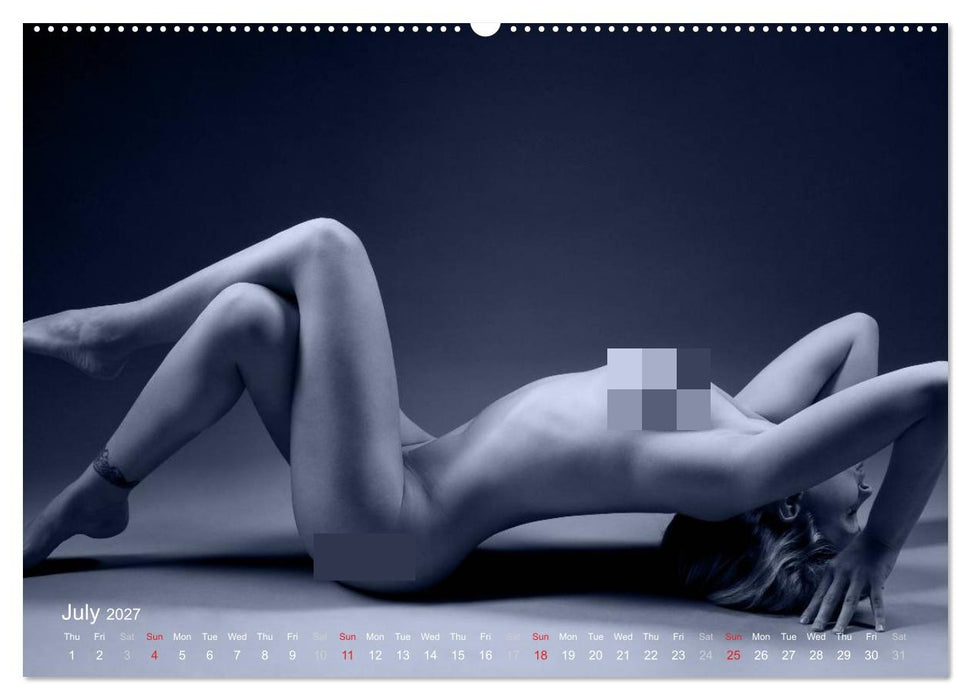 L´heure bleue - The Blue Hour (CALVENDO Premium-Calendar 2027)