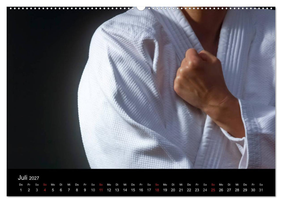 Kampfsport (CALVENDO Premium Wandkalender 2027)