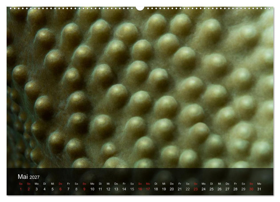 Unterwasser Strukuren (CALVENDO Premium Wandkalender 2027)