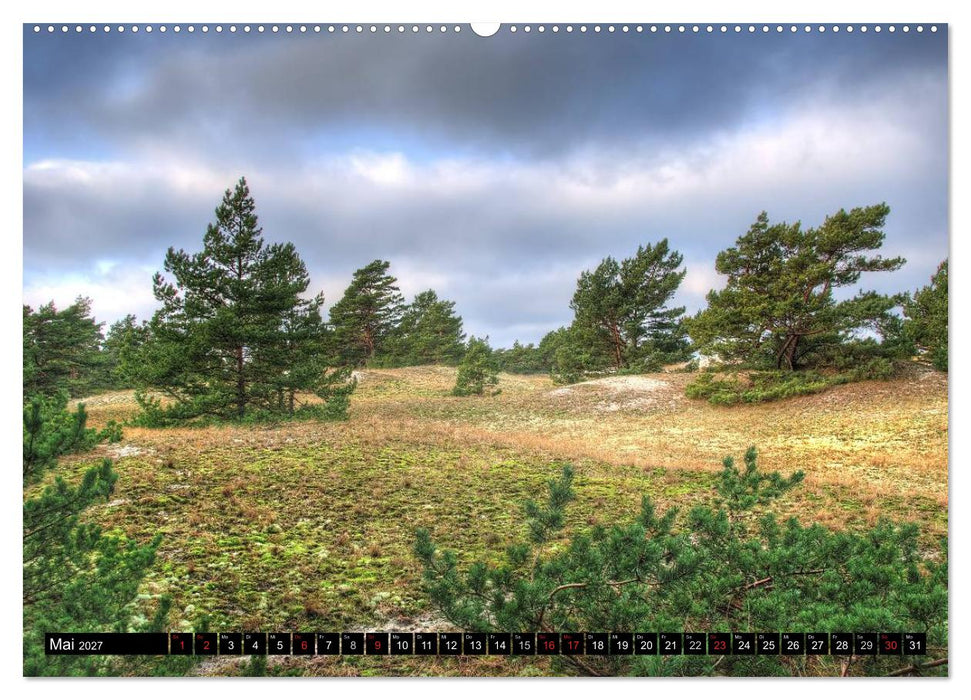 Fischland Darß Zingst – Die Halbinsel an der Ostsee (CALVENDO Wandkalender 2027)