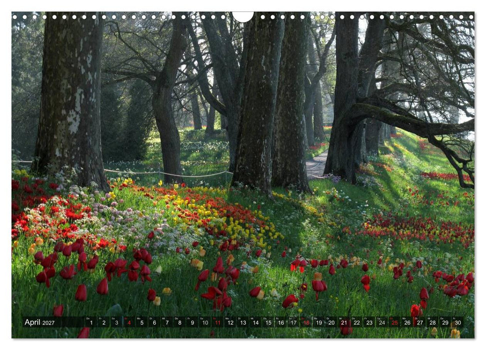 Zauberhafter Bodensee (CALVENDO Wandkalender 2027)