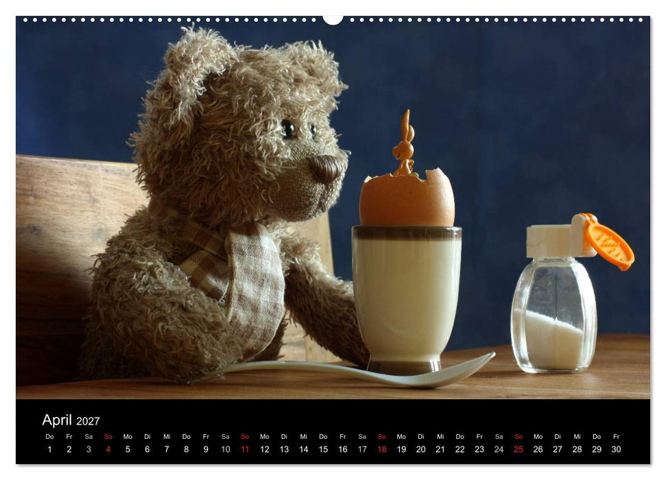 Herr Nopf ist da! (CALVENDO Premium Wandkalender 2027)