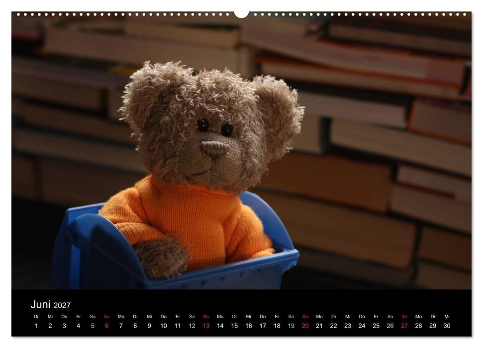 Herr Nopf ist da! (CALVENDO Premium Wandkalender 2027)