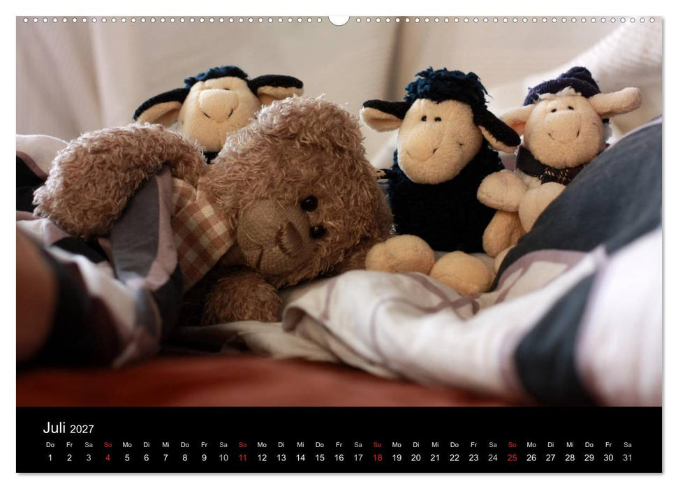 Herr Nopf ist da! (CALVENDO Premium Wandkalender 2027)