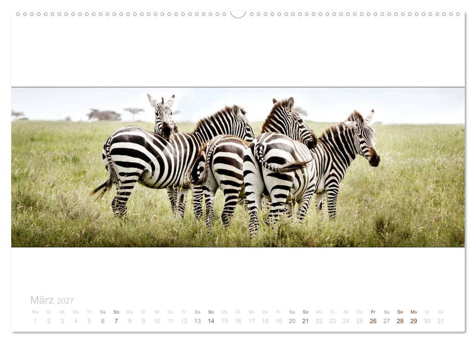 Serengeti Panorama (CALVENDO Premium Wandkalender 2027)