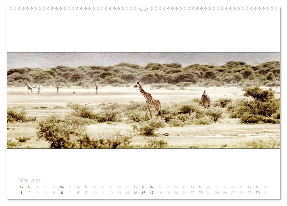 Serengeti Panorama (CALVENDO Premium Wandkalender 2027)