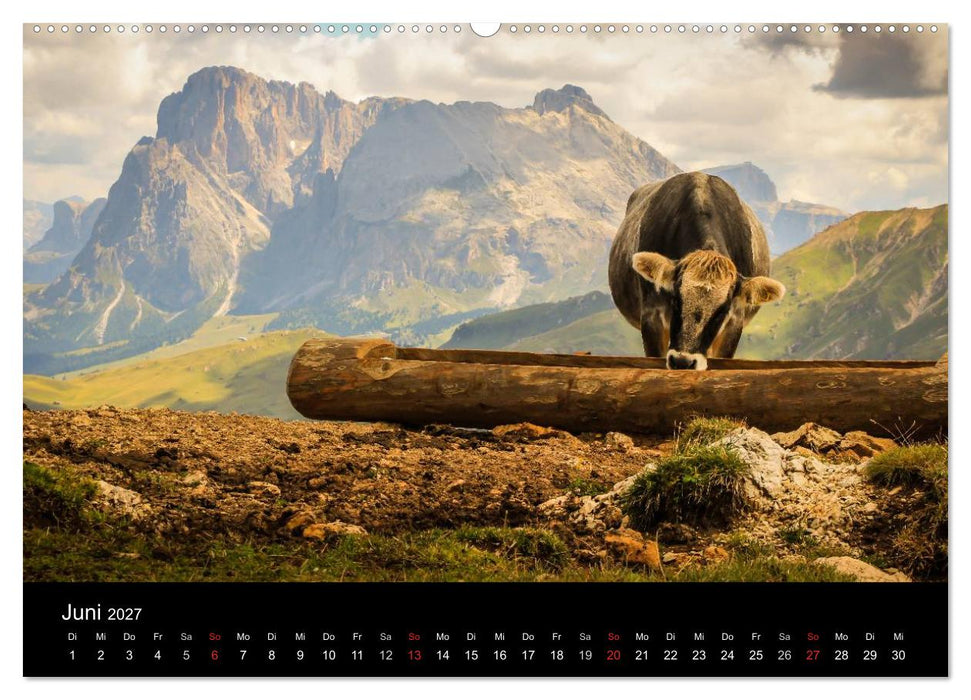 Bergpixel "Höhenrausch und Leidenschaft" (CALVENDO Wandkalender 2027)