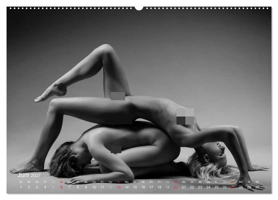 Erotischer Fingerabdruck - Besondere Hautmerkmale (CALVENDO Wandkalender 2027)