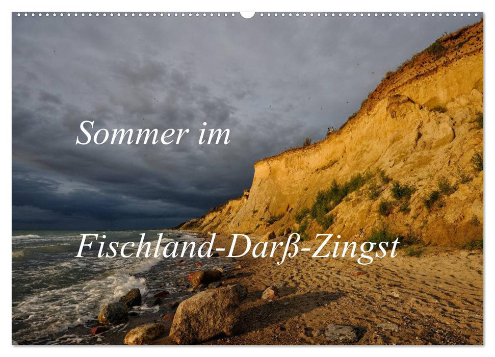 Sommer im Fischland-Darß-Zingst (CALVENDO Wandkalender 2027)