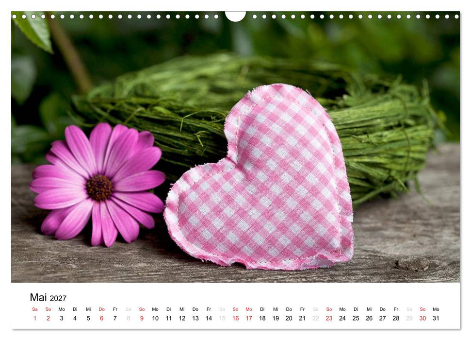 Mein Herz schlägt pink (CALVENDO Wandkalender 2027)