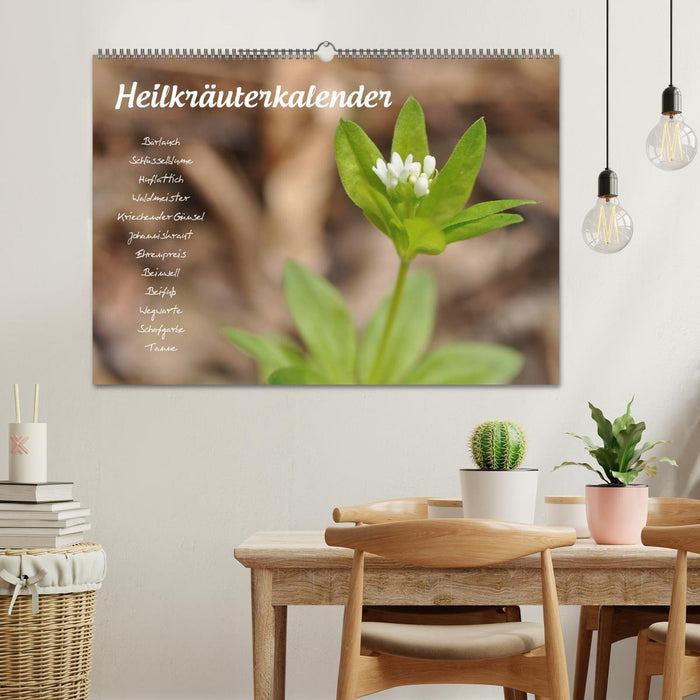 Heilkräuterkalender (CALVENDO Wandkalender 2027)