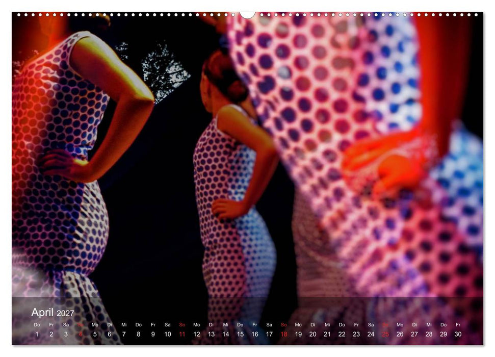 Flamenco - Tanz der Leidenschaft (CALVENDO Wandkalender 2027)