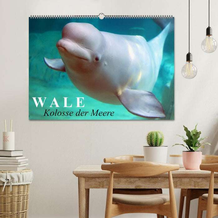Wale - Kolosse der Meere (CALVENDO Wandkalender 2027)