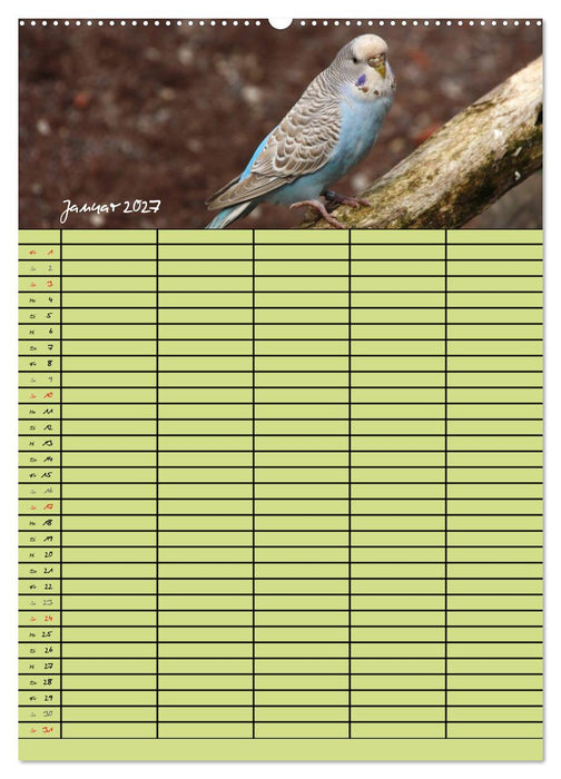 Der Wellensittich-Familienplaner (CALVENDO Wandkalender 2027)