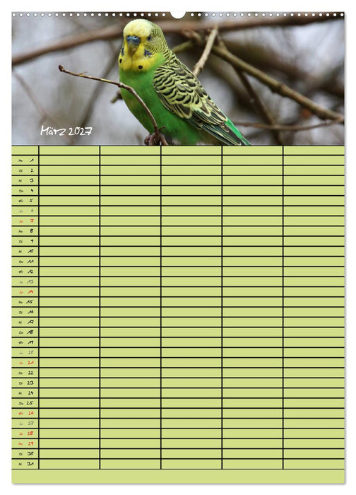 Der Wellensittich-Familienplaner (CALVENDO Wandkalender 2027)