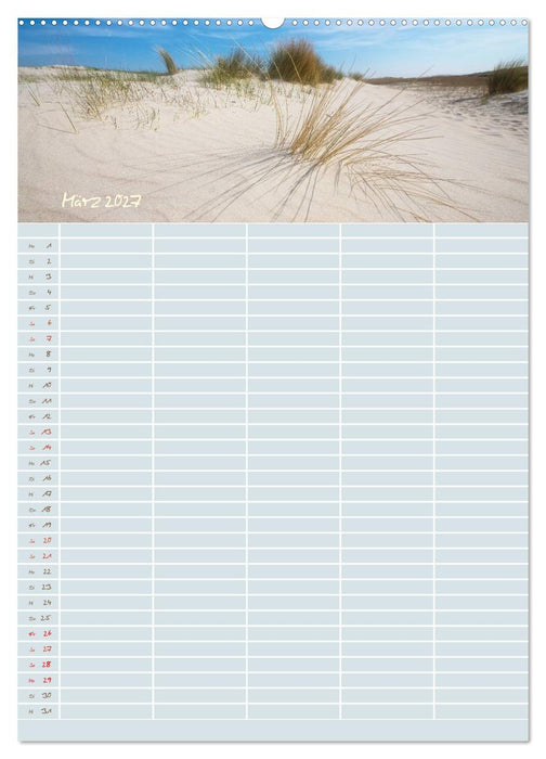 Kleine Sand-Schönheiten / Familienplaner (CALVENDO Premium Wandkalender 2027)