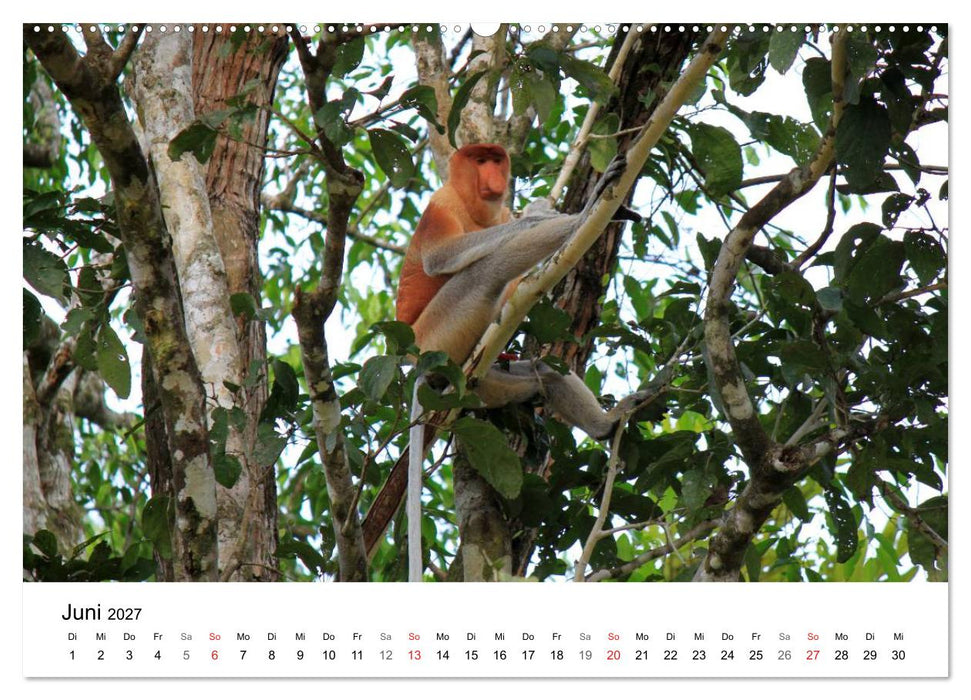 Highlights einer Weltreise (CALVENDO Wandkalender 2027)