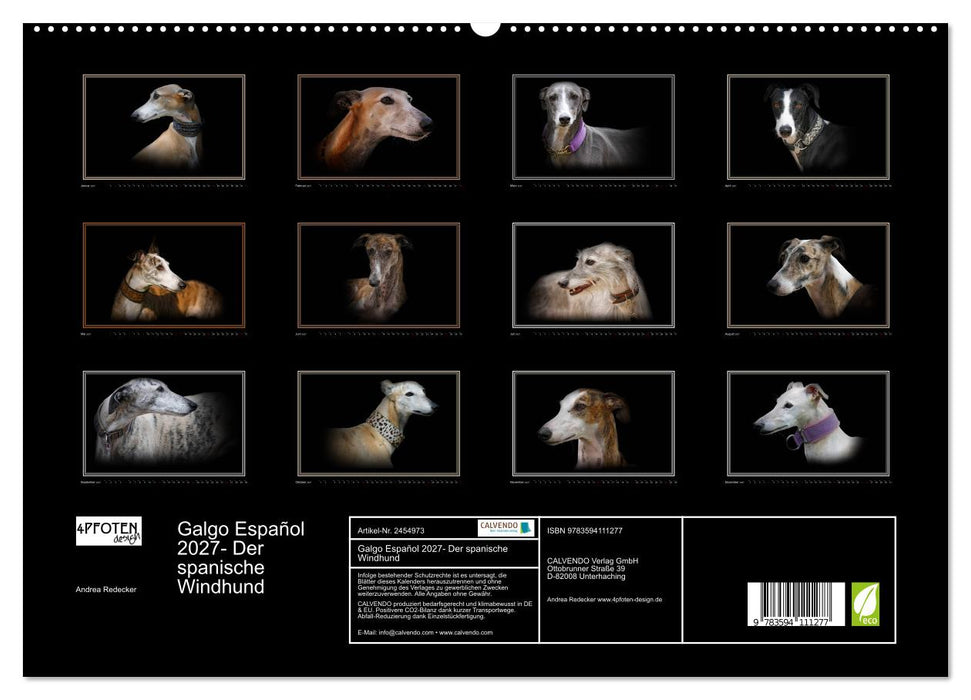Galgo Español 2027- Der spanische Windhund (CALVENDO Premium Wandkalender 2027)