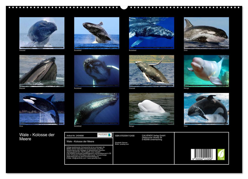 Wale - Kolosse der Meere (CALVENDO Premium Wandkalender 2027)